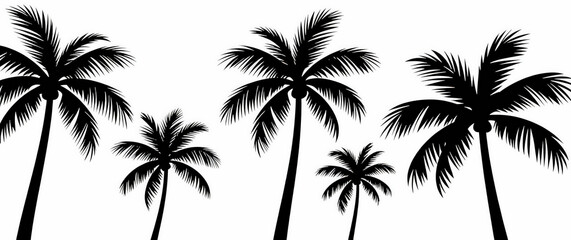 Silhouettes of Coconut Palm Trees on White Background