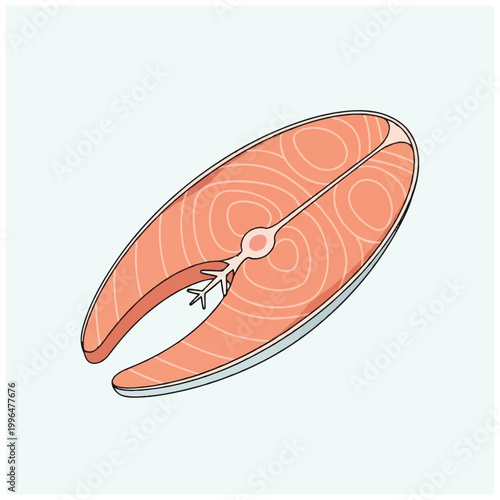 Raw Salmon Steak with Bone Illustration.