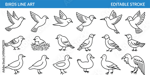 Photos Birds Line Art Illustration Set Editable Stroke Minimal Outline Vector Collectio