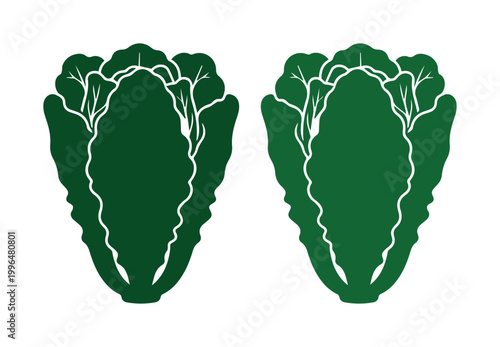 Napa cabbage vector icons, green Chinese cabbage silhouettes, fresh organic leafy vegetable illustrations for grocery and culinary design
