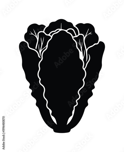 Napa cabbage silhouette vector icon, black and white chinese cabbage illustration, organic leafy vegetable graphic for food packaging and menu design