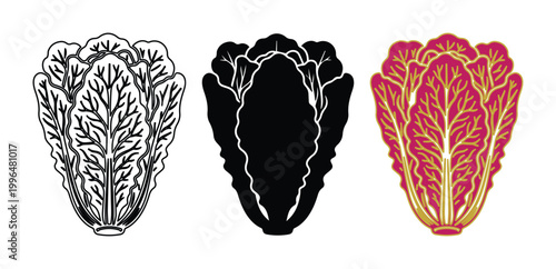 Napa cabbage vector icons set, Chinese cabbage line art and silhouette illustrations, purple and gold organic vegetable graphics for food packaging