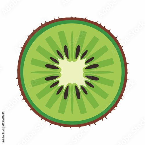 Slice of Kiwi Fruit