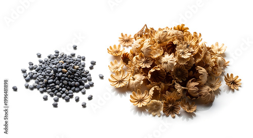 Small pile of dark poppy seeds next to a pile of dried, golden flower heads, isolated on a white background