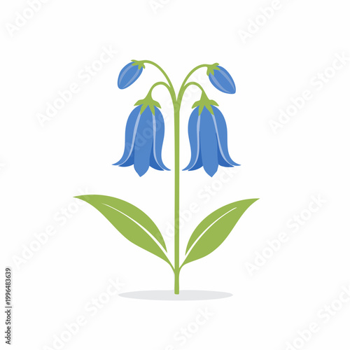 Bluebell Flower Illustration
