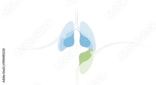 Minimalist line art illustration of human lungs and respiratory system