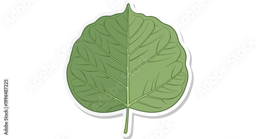 Green leaf illustration with veins and stem, isolated on white background