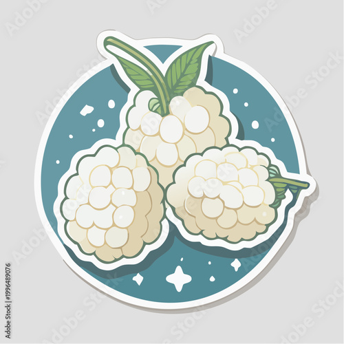 Illustration of three white mulberries with leaves
