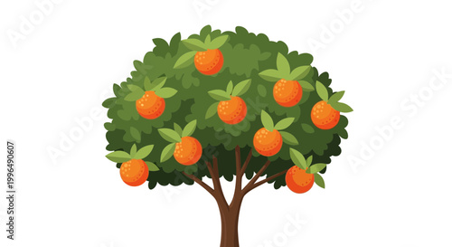 Ripe Oranges Growing on a Lush Green Tree