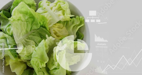 Fotografija Displaying white bowl of butterhead lettuce leaves on studio tabletop, with digi
