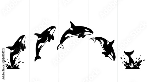 A dynamic sequence of five killer whale illustrations, depicted in black and white, showcasing majestic orcas leaping and diving with powerful and graceful aquatic motion