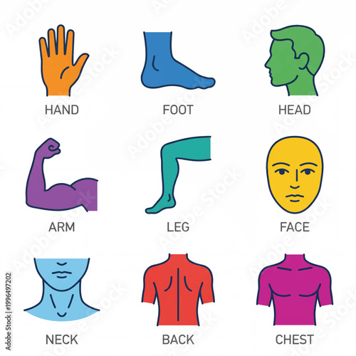 Φωτογραφία Human Body Parts Icons Set Vector Illustration.