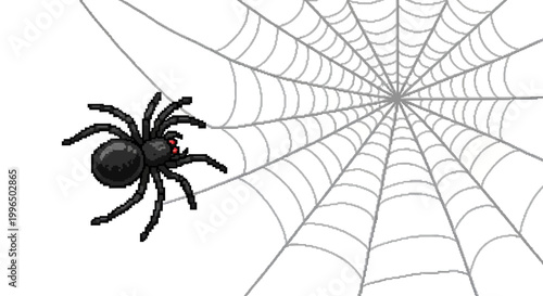 A detailed illustration of a black spider on its web.