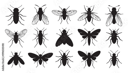 Black fly and winged insect silhouettes collection for pest control or nature infographics.