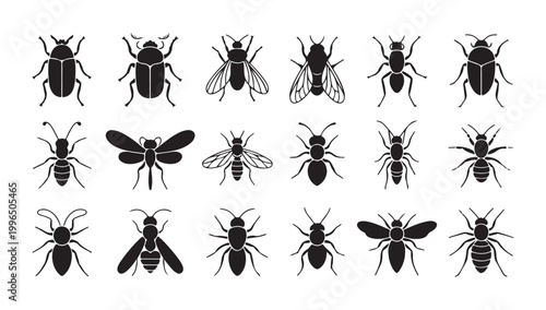 Diverse insects silhouette set vector graphic icons, ant beetle fly wasp.