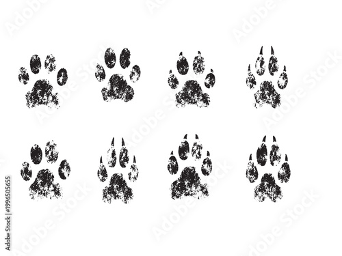 Set of grunge animal paw prints in black with distressed texture ideal for wildlife themes pet branding outdoor design rustic graphics and creative background projects