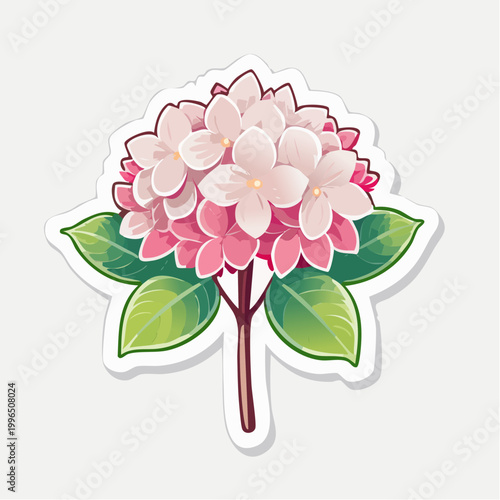 Pink Hydrangea Flower Illustration
