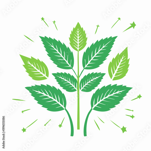 Green Mint Leaves with Sparkles