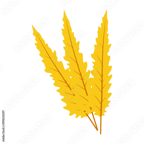 yellow leaves fern nature plant flat color vector illustration template design