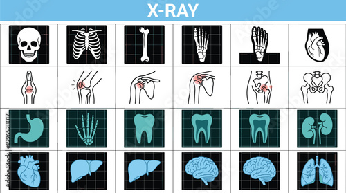 X ray medical icon set featuring human bones organs radiology scans diagnostic imaging and healthcare anatomy vector collection