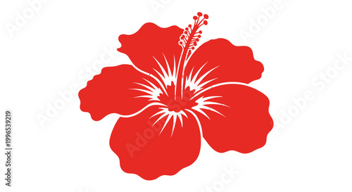 Red Hibiscus Flower Illustration with Stamen.