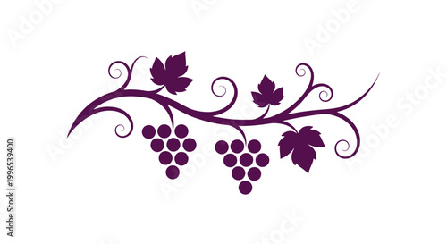 Purple Grapes with Leaves and Vine.