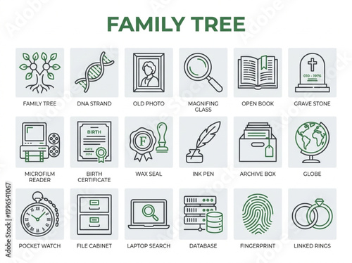 Set of eighteen green and grey vector icons illustrating genealogy research and family history documentation isolated on a white background