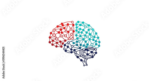 Brain Divided into Three Sections.