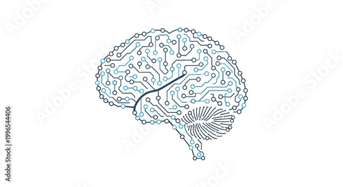 Brain Illustration Human Mind.