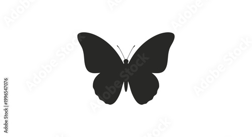 Black Butterfly Silhouette with Open Wings.