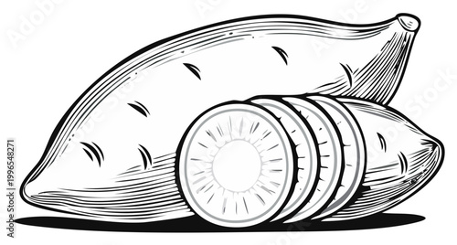 Hand-drawn Illustration of Sweet Potatoes with Slices
