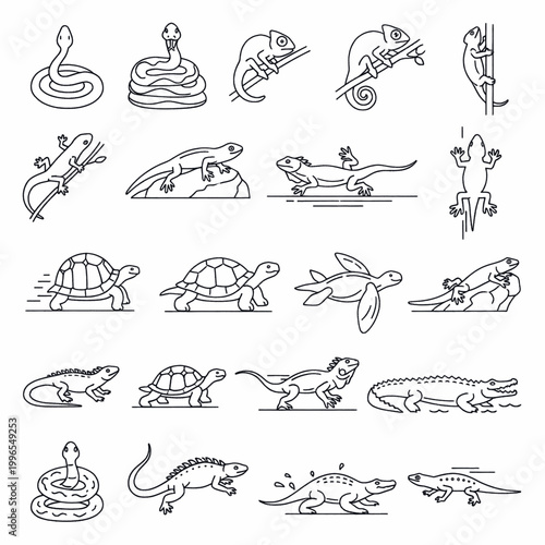 Collection of stylized line art icons representing various reptiles and amphibians in different poses and environments.