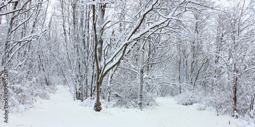 Hiking trail though a winter wonderland in northern Illinois