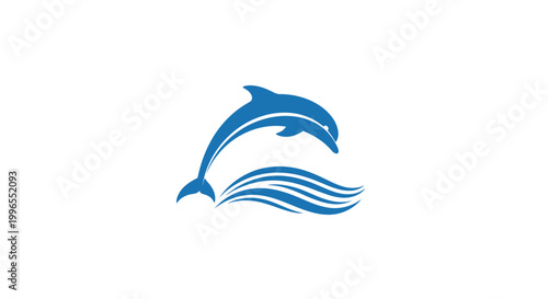 Dolphin jumping out of water.