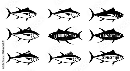 Vector illustrations of different types of tuna fish, including bluefin, albacore, and skipjack, presented in a grid layout