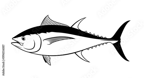 Black and white illustration of a tuna fish, a marine animal swimming in the ocean
