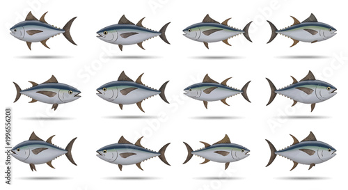 Graphic display of uniform fish illustrations, depicting a vibrant shoal of marine animals suitable for diverse design projects related to the sea and ocean life