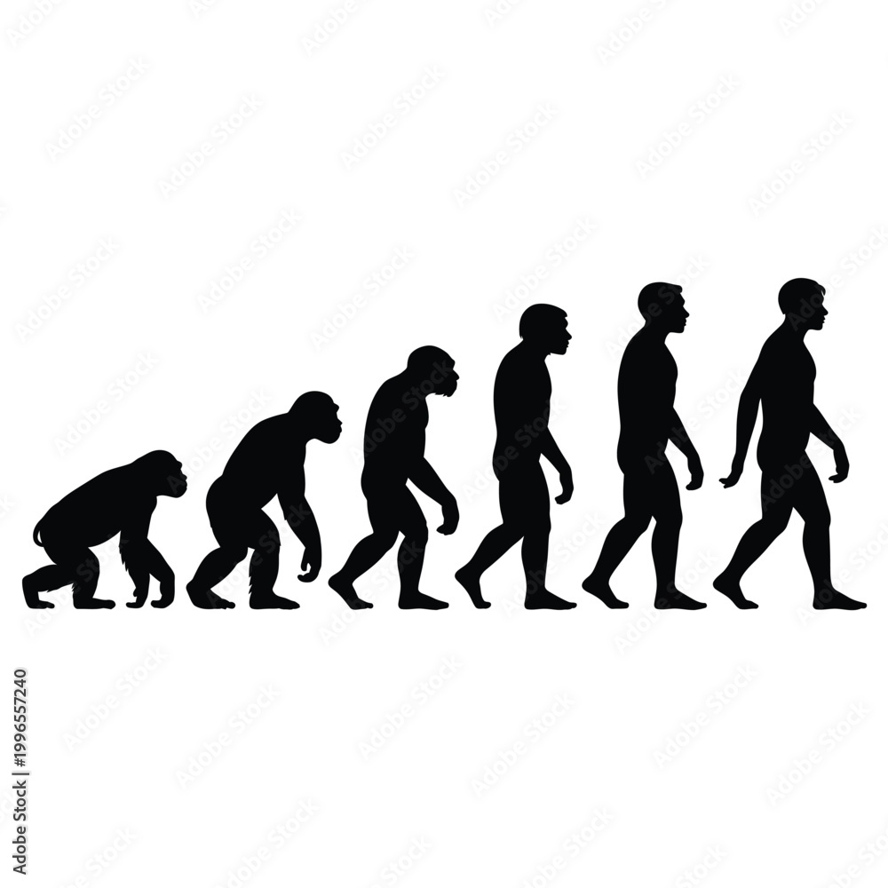 Obraz premium human evolution diagram in black silhouette on white background