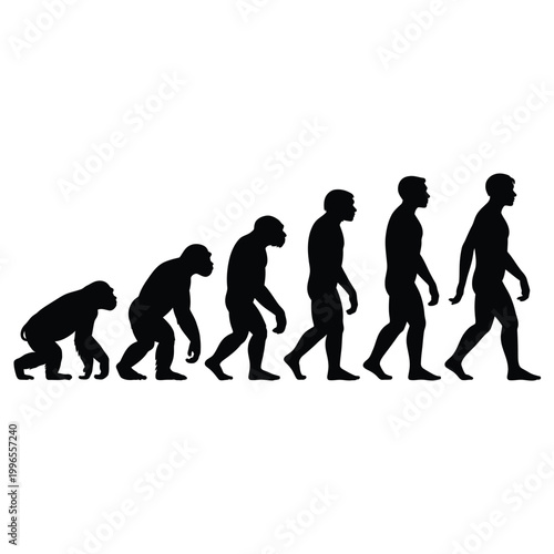 human evolution diagram in black silhouette on white background