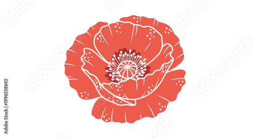 Red Poppy Flower Illustration with White Lines.