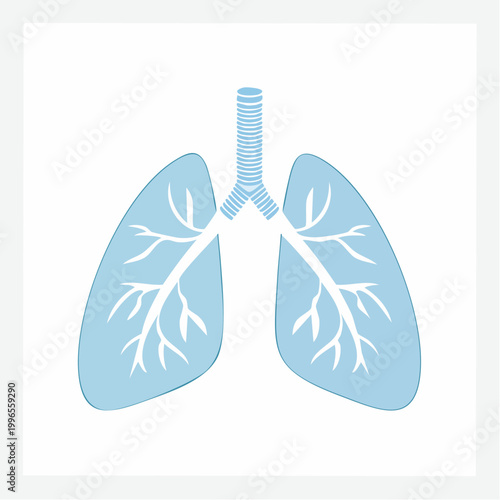 Stylized Illustration of Human Lungs and Trachea