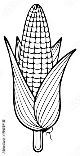 Outline of a Corn Cob with Leaves