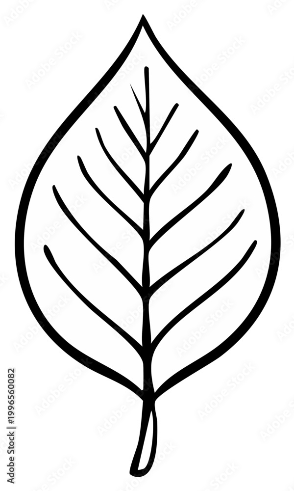 Fototapeta premium Botanical Leaf Outline Illustration Single Leaf Design Organic Shape Natural Element Art Creative Project