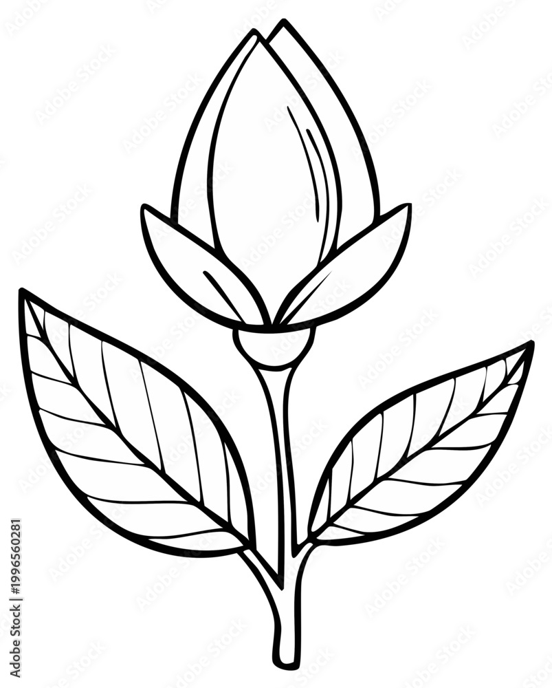 Obraz premium Ink drawing of a closed flower bud with leaves, botanical illustration