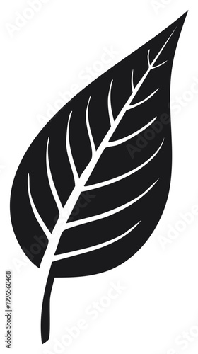 Black botanical leaf illustration featuring defined veins creating a natural organic feel for design or printing