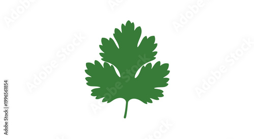 Green Leafy Plant with Three Lobes.