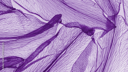 Flower petals abstract texture, minimal aesthetic botanical design, lavender organic structure, beauty nature macro banner. Flowery botanical backdrop for eco and organic branding, natural visual
