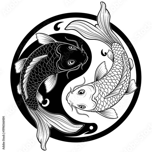 Two koi fish swimming in a Yin Yang circle