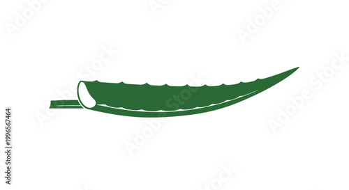 Green chili pepper on white background.