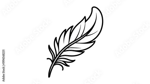 Simple black and white feather illustration with detailed texture Vector